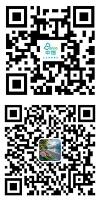QR Code QR Code